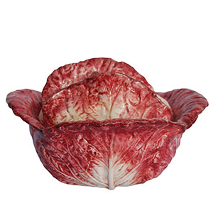 soup tureen savoy cabbage red